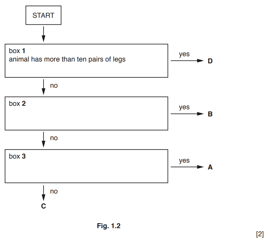 Dichotomous keys igcse biology